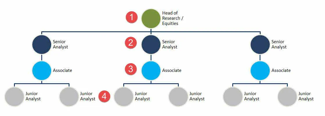 Equity Reserach Hierarchy