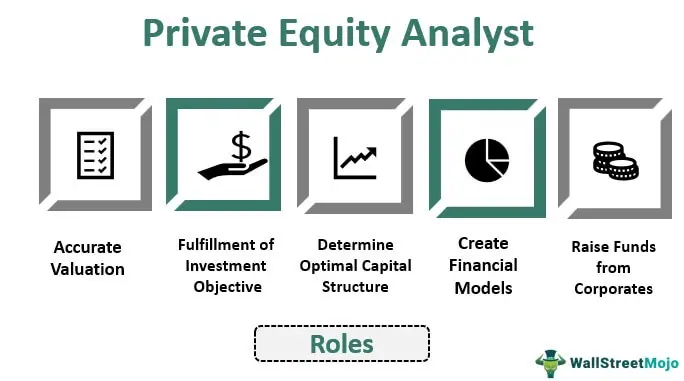 Private Equity Analyst