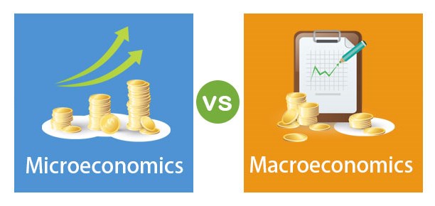 Differences Between Macroeconomics and Microeconomics
