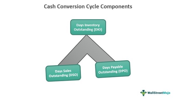 Cash Conversion Cycle Components