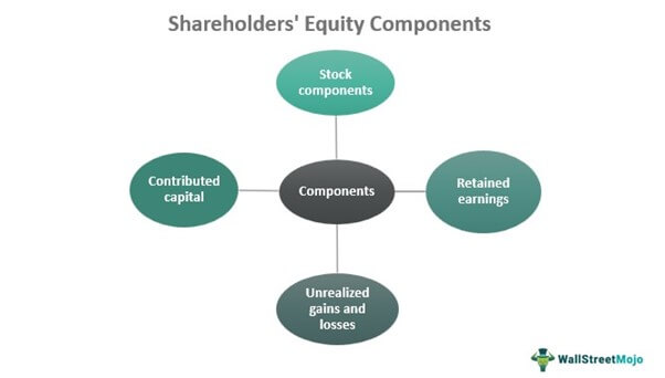 Shareholders' Equity Components