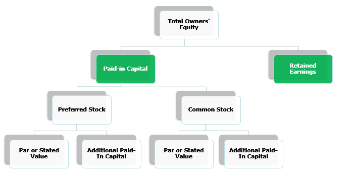 Balance Sheet - Shareholder's Equity