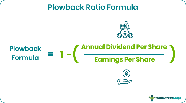Plowback ratio