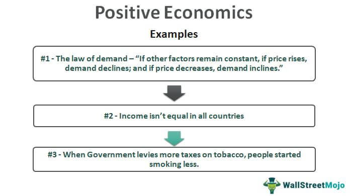 essays on positive economics