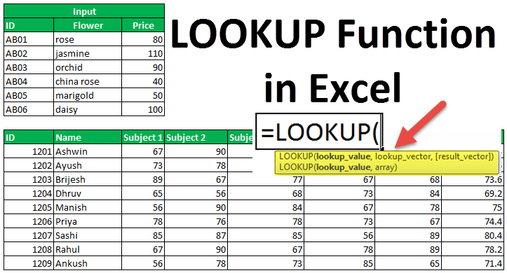lookup-function-in-excel-formula-examples-how-to-use