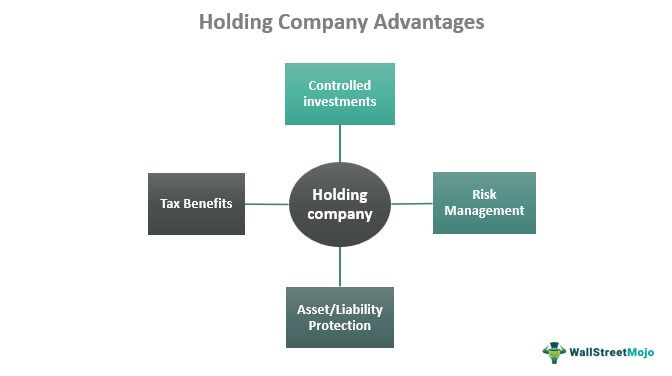 Holding Company advantages