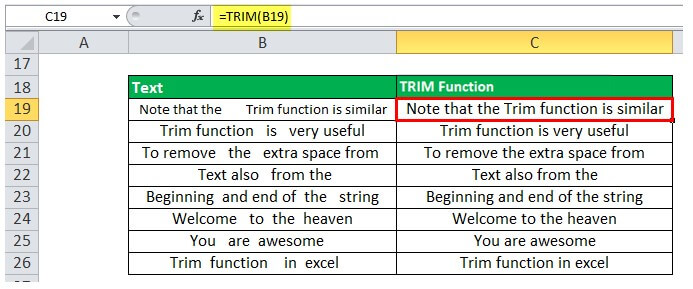 Trim function Example 2