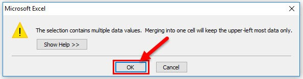 The Selection contains multiple data values