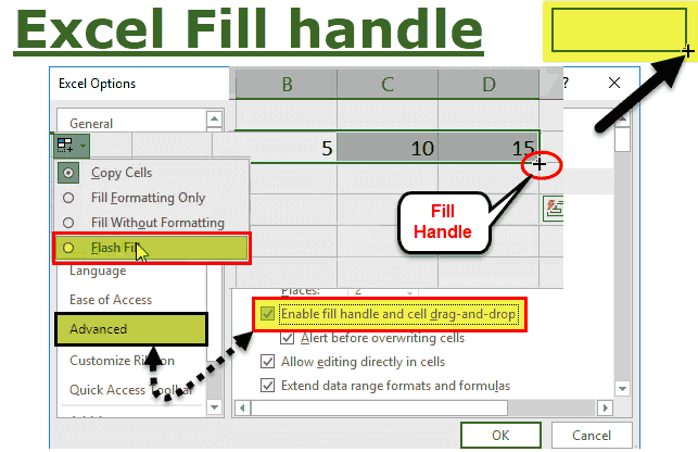 How To Use The Fill Handle To Enter Data In Excel How To Use The Fill Handle To Enter Data In Excel