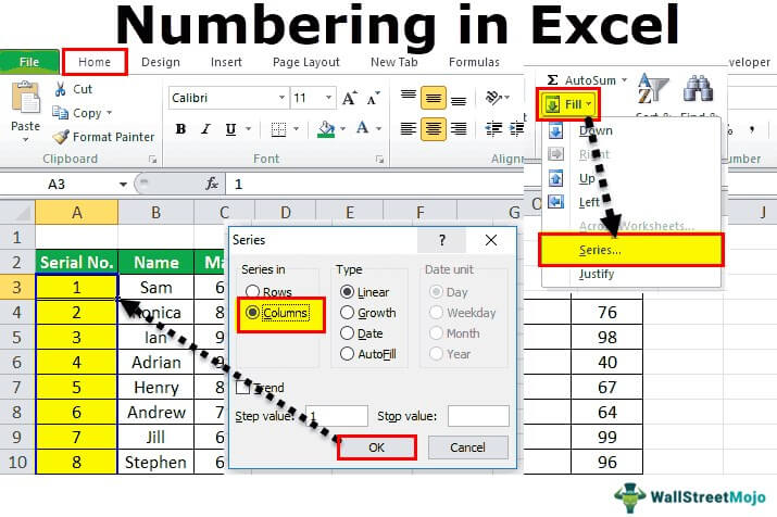 How to Insert Serial Number Automatically in Excel 