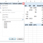 Pivot Table Sort - How To Sort Data Values In PivotTable?