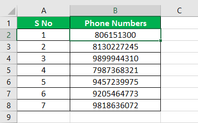 Format Phone Number Example 1