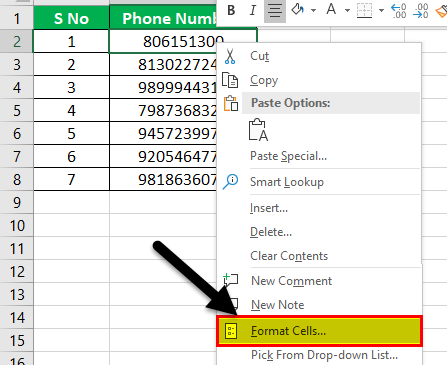 Format Phone Number Example 2-2