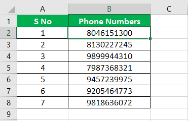 Format Phone Number Example 3