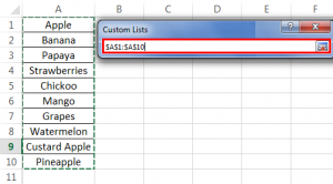 Custom List in Excel - How to Create? (Step by Step)