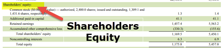 Component of Financial Statements - Balance Sheeet Shareholders Equity