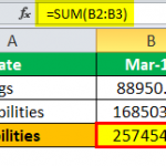 Net Asset Formula | Step by Step Calculation of Net Assets with Examples