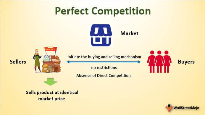 Perfectly Competitive Market Examples
