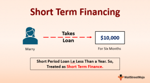 Short Term Financing (Definition, Example) - Overview of Top 5 Types