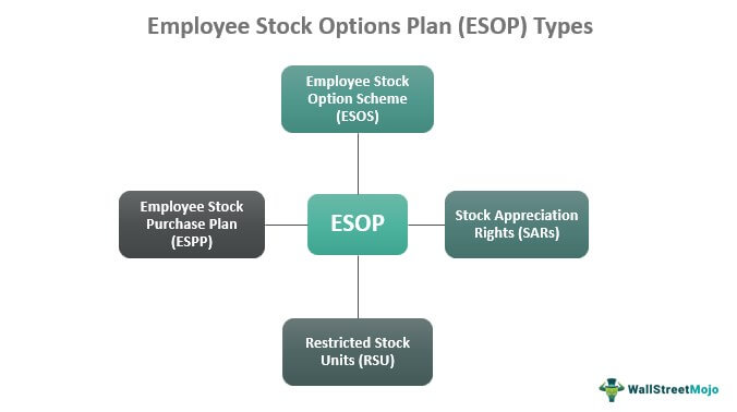 Employee Stock Options Plan (ESOP) Types