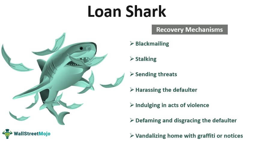 Loan Shark Meaning Overview How Does It Work