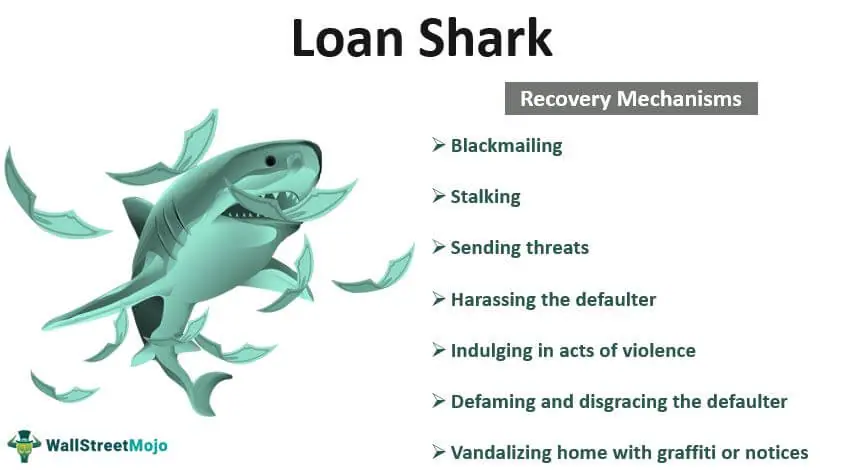 loan shark business plan