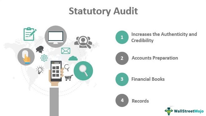Statutory-Audit