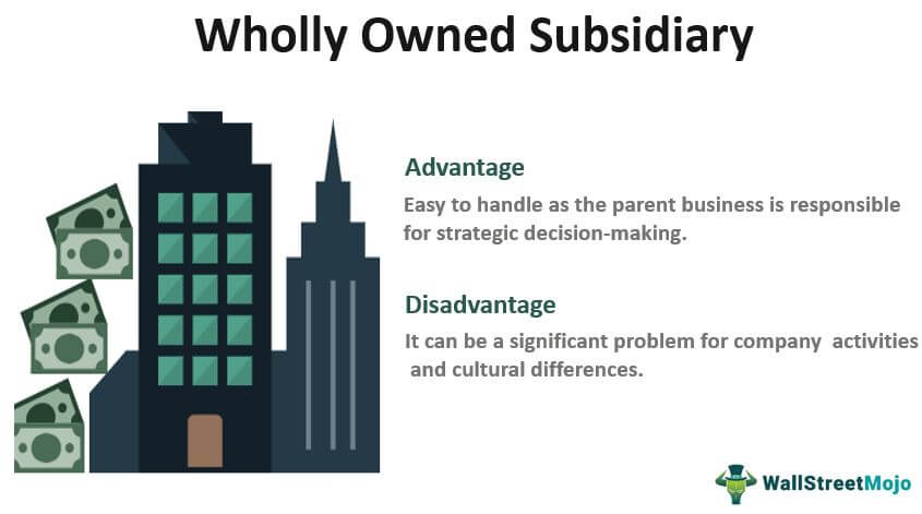 Wholly Owned-Subsidiary