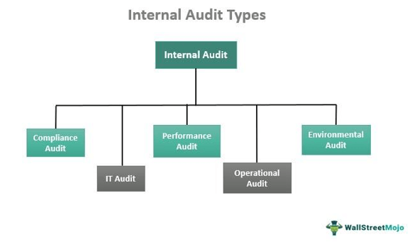 internal audit types