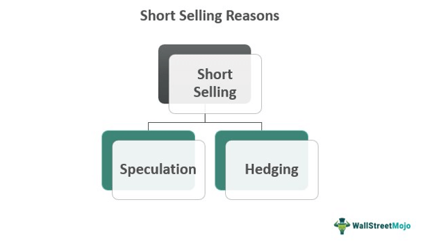 Short Selling Reasons
