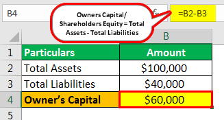 Owner's Capital Example 1.1