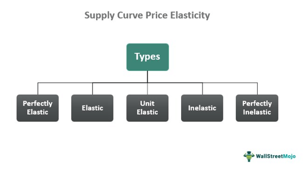 supply Curve Price Elasticity