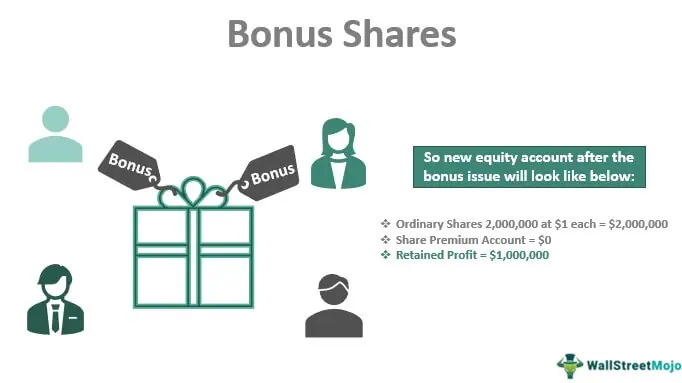 Share Premium Account: What It Is, How It's Used, Examples