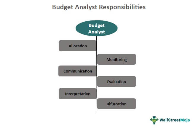 Budget analyst responsibilities
