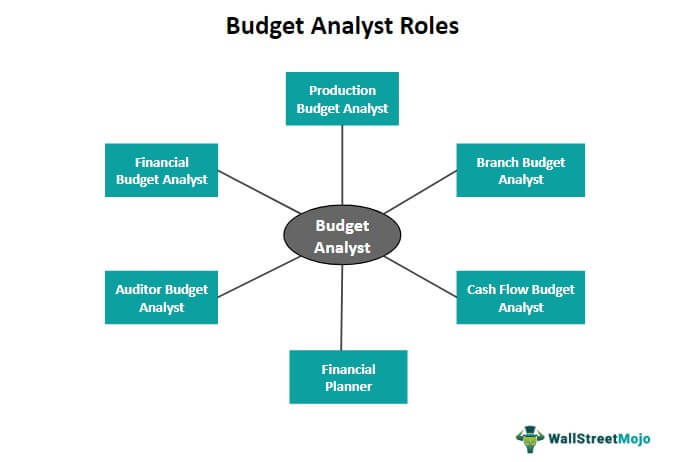 Budget analyst roles
