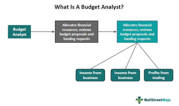 What is a budget analyst