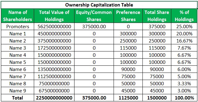Capitalization Table Example 1.1