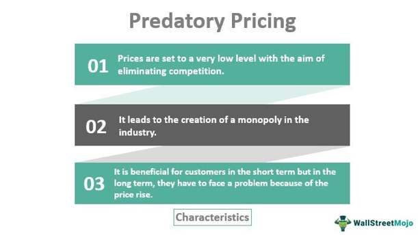 Predatory Pricing Characteristics