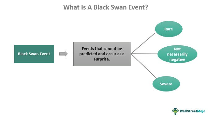 What Is A Black Swan Event