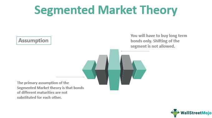 Segmented Market Theory - What Is It, Example, Advantages