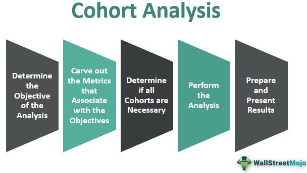 Cohort Analysis - Definition, Types, Steps and Examples
