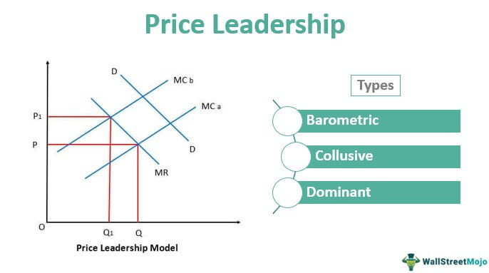 Summary of findings regarding regular price leadership.