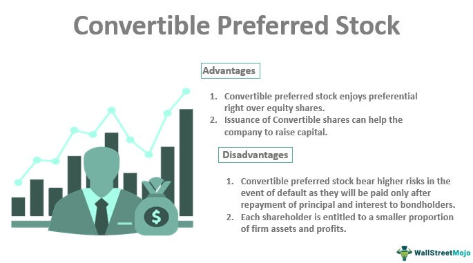 Convertible Preferred Stock
