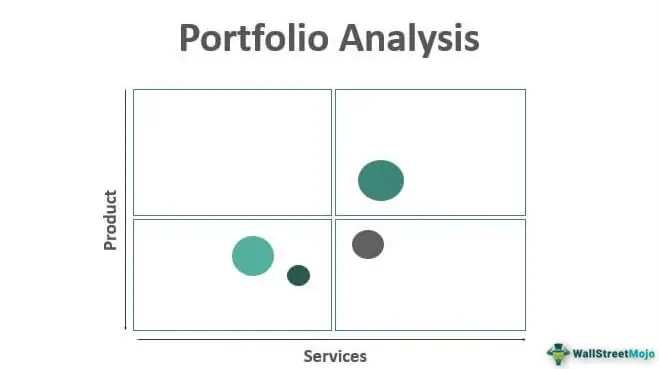 portfolio analysis assignment