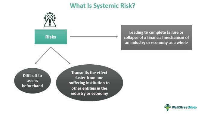 What Is Systemic Risk