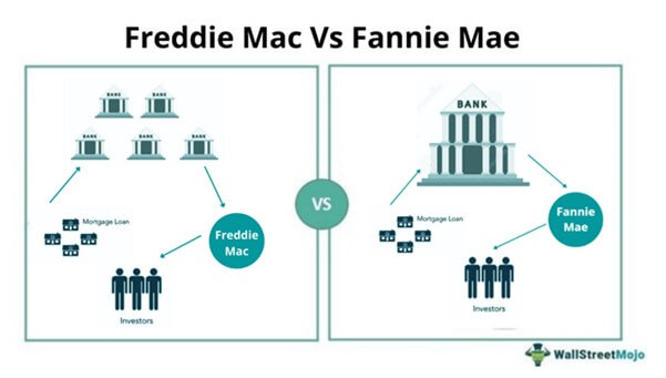 Fannie Mae vs Freddie Mac