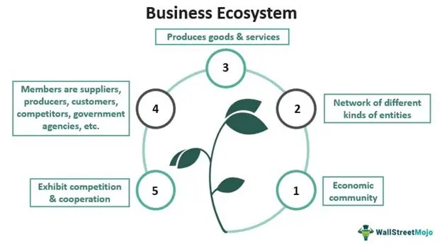 Business Ecosystem