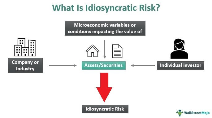 Idiosyncratic Risk