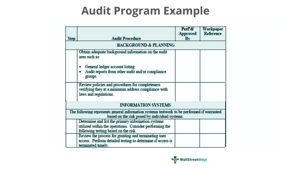 audit program