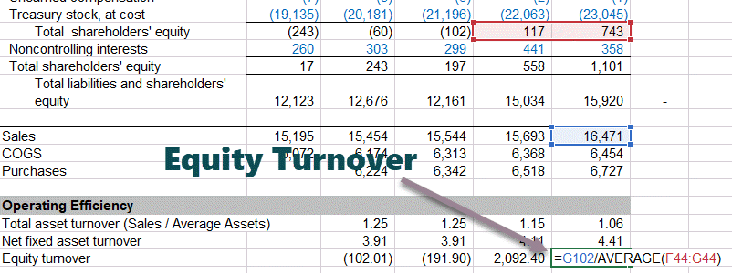 Equity Turnover Ratio - Colgate1